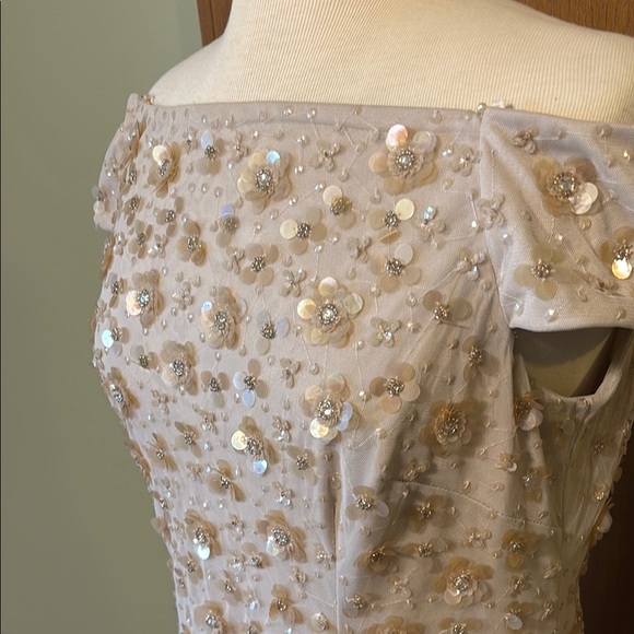 BHLDN Blush Sequin Off-Shoulder Wedding Gown - Picture 4 of 6